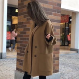 2025 New Hairy Wind Coat Women's Autumn And Winter New Loose Leisure Small Man With The Coat