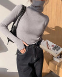 Heap High-Necked Cover Finger Tight-Up Sweater Women 2026 Autumn And Winter New Knitted Bottom Shirt Full Of Long Sleeve Tops