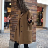 2025 New Hairy Wind Coat Women's Autumn And Winter New Loose Leisure Small Man With The Coat